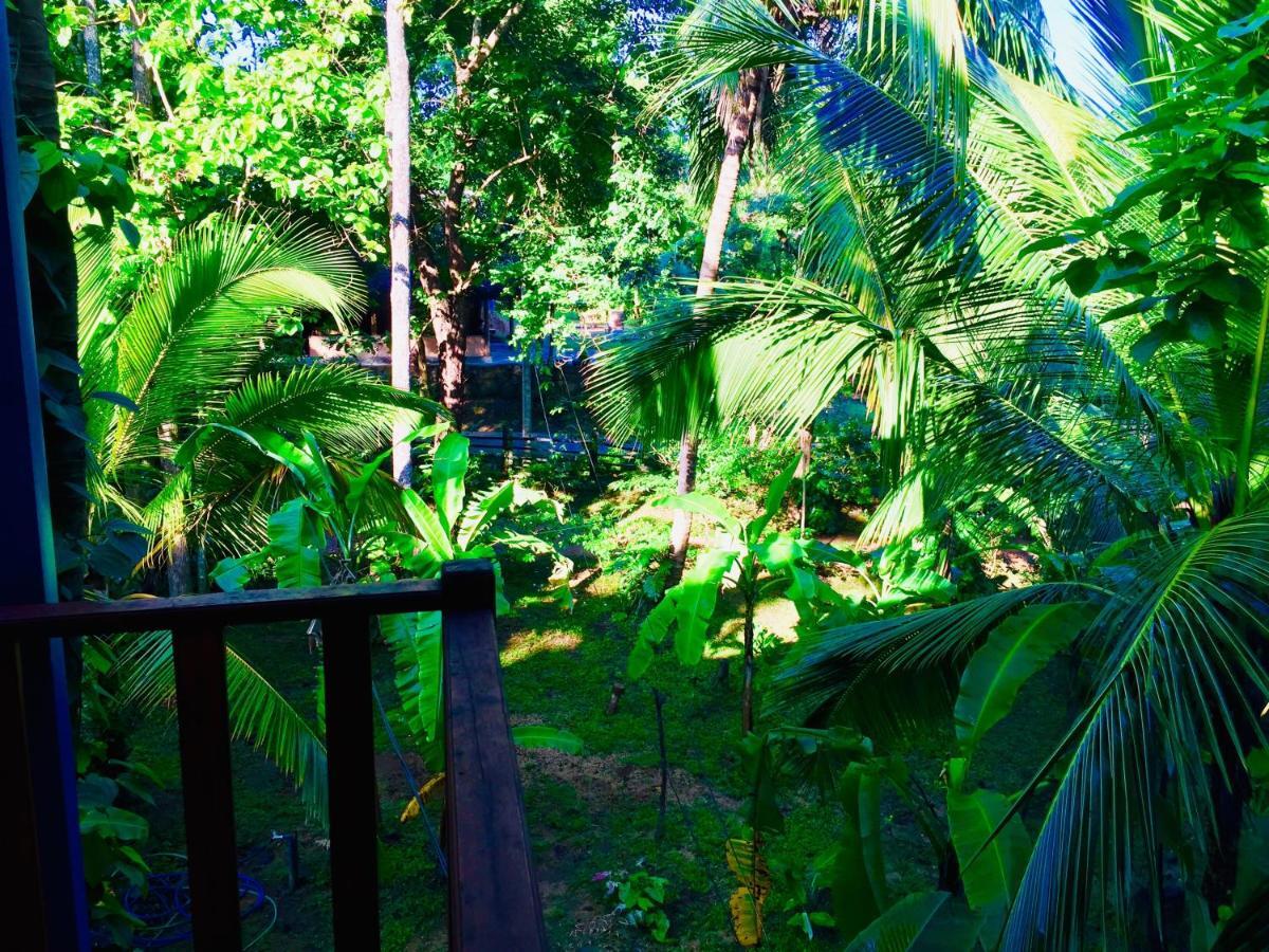 Sigiri Rainbow Lodge Sigiriya Exterior foto